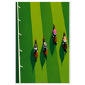 Minimalist aerial view of four jockeys racing horses along white rail on striped green turf